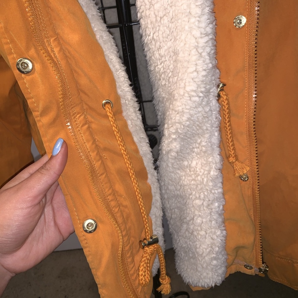Yellow jacket - Picture 2 of 5